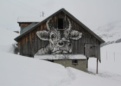 cabef_suisse_vache.jpg