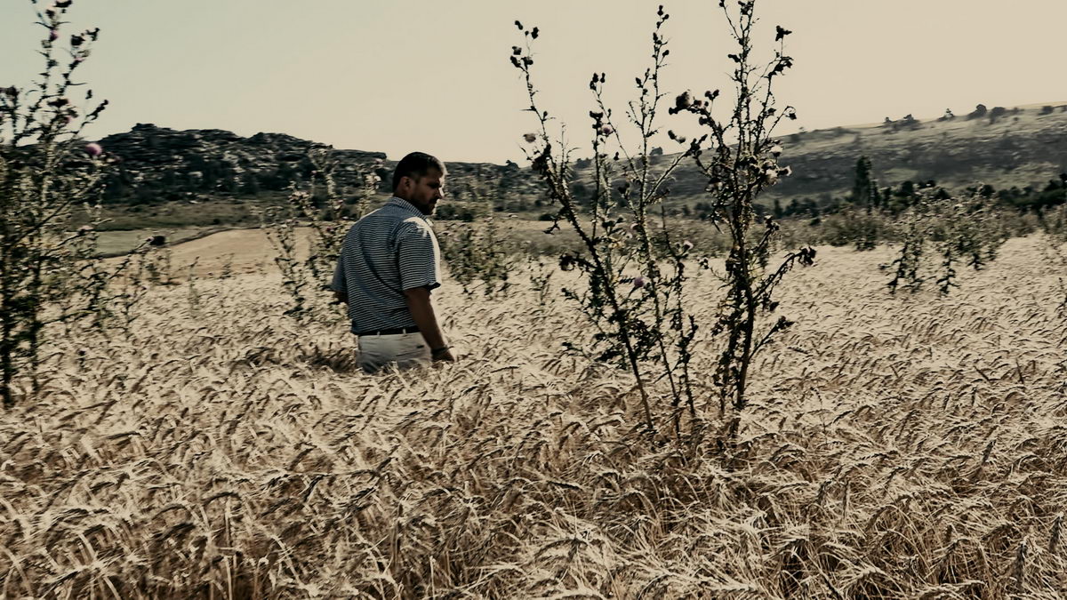 Festival Résistances Foix Ariège 2021 Fims Cinéma Militant Le Grain Et L'Ivraie Liberticide