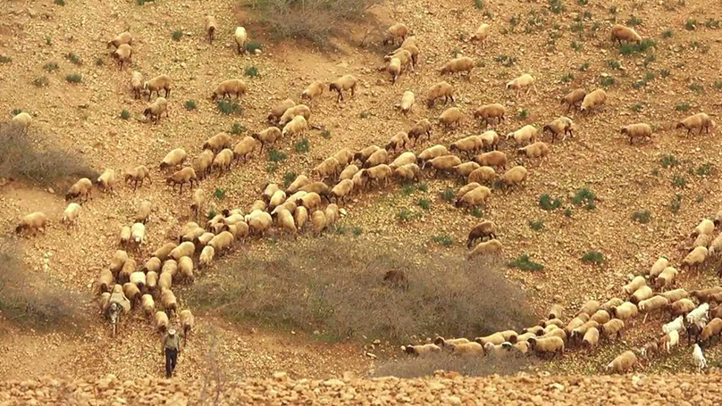 Irradiés Festival Résistances Rithy Panh cinéma militant documentaire génocide Foix Ariège 2021 25e édition séance spéciale Cambodge Hiroshima Seconde Guerre Mondiale