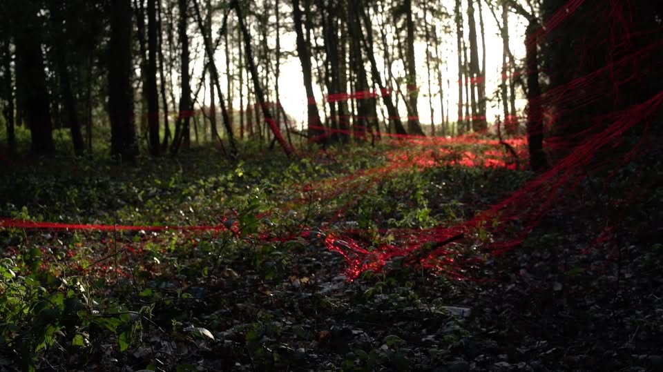 foret rouge