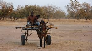 Ismaela infirmier en brousse