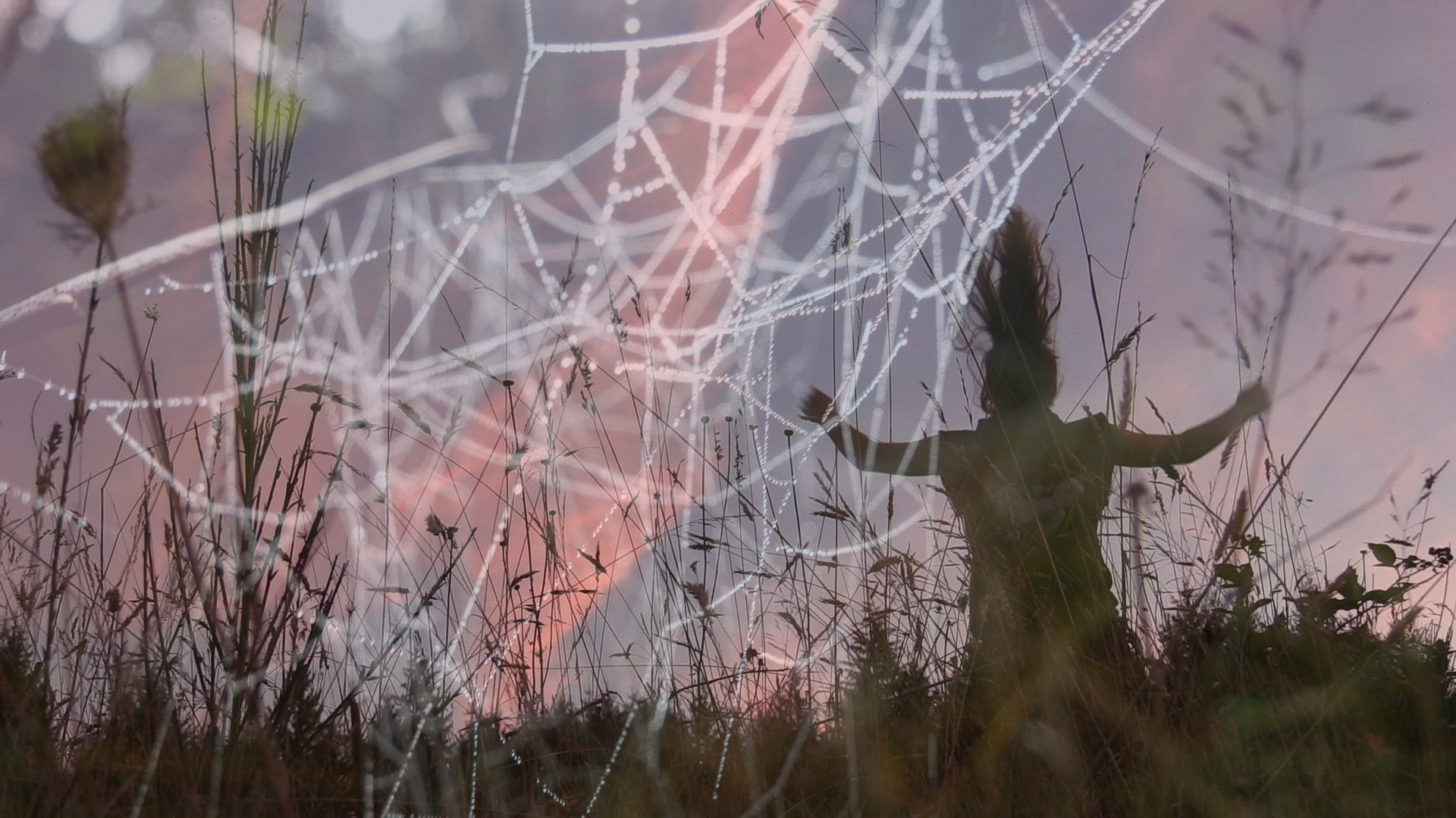 Pele dancing spider storries _ Oregon ┬® Ella v.d.Haide